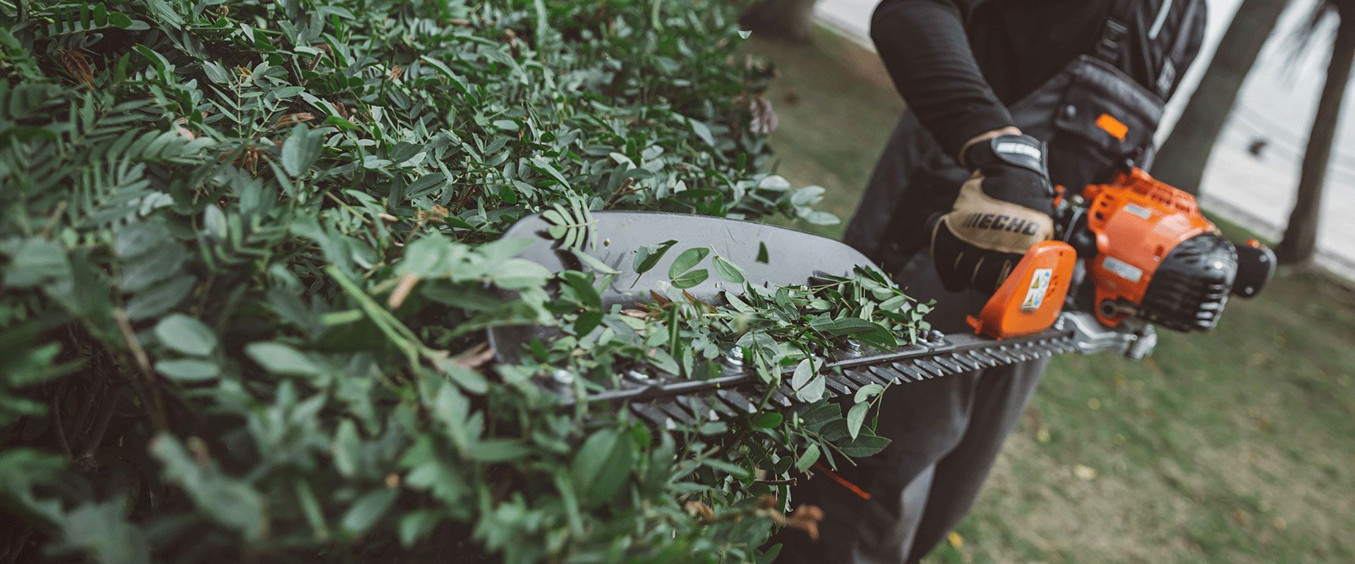 Single-sided Hedge Trimmer