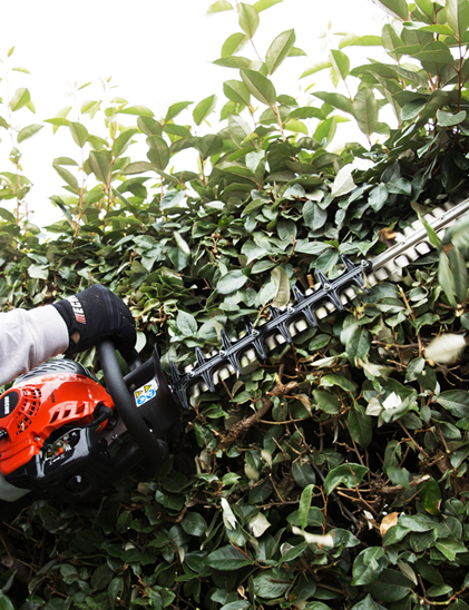 Double-sided Hedge Trimmer