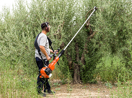 ECHO launch OH-5210 Olive Shaker.