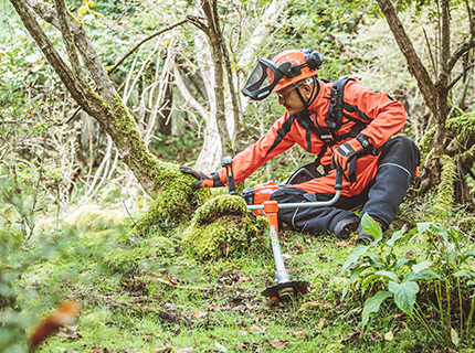 Electric or petrol trimmer or brushcutter?